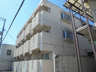 ソルテリアユタカの画像