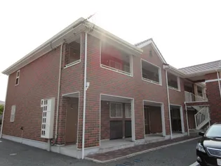 プリステラの画像