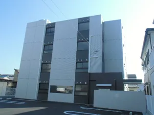 コレクト ライルの画像