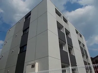 コレクト ライルの画像