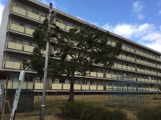 ビレッジハウス柏原【3-102号室】の外観