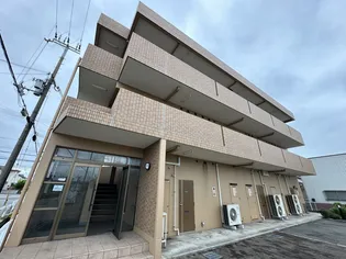 スプリング セブンの画像