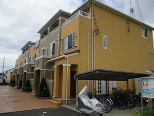 ココアガーデンの画像