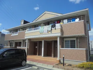 ルミエールの画像