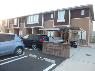 アムニス エストの画像