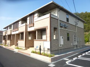 オリーブIの画像