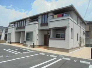 フィデールの画像