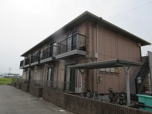 サザンクロスの画像