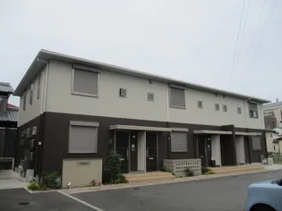 カンパニュラの画像