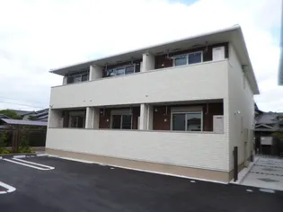 シャンディ イーストの画像