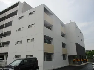 フィレール デュ トラジャIIIの画像