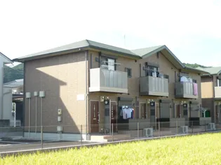 コンフォート才の画像