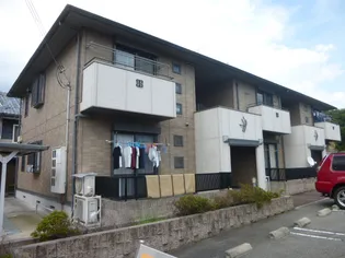 ソレイユの画像