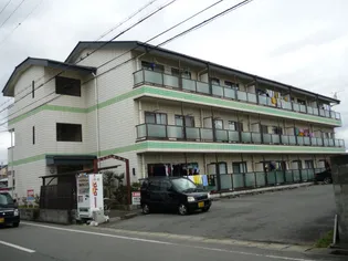 ロフティ津市場の画像