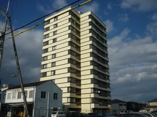 シャルムヒメゴーの画像