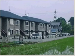 ディアス宮脇の画像