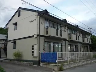 センチュリー7の画像