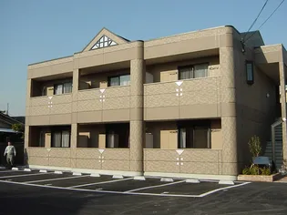 タイニーコートの画像