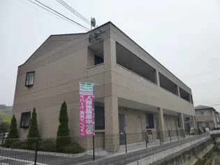 ルミナスコートの画像