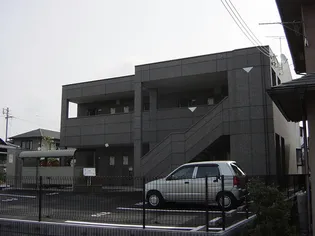 M ブロッサムの画像