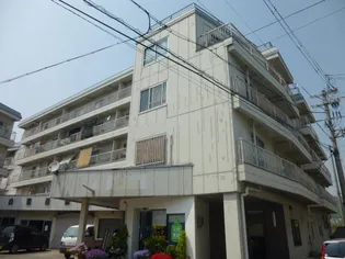 メゾン白鷺【400号室】の外観