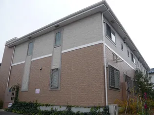 ポーチュラカの画像