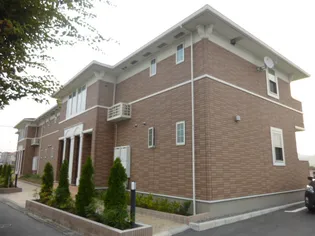 ライラック グレースの画像