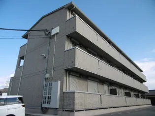 グレイシャスの画像