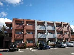 ヒルサイドDI【3階】の外観