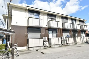 パインコートM Sの画像