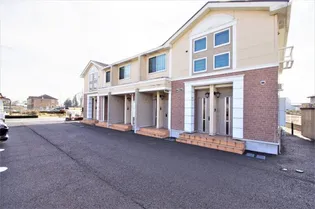 スイートアリッサムの画像