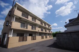 ブランシェフォートなすのの画像