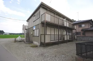 ウッディ ベルの画像