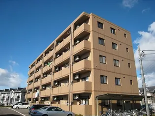 DIペランギの画像