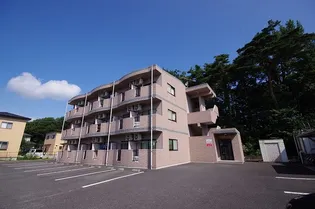 ラ フルールの画像