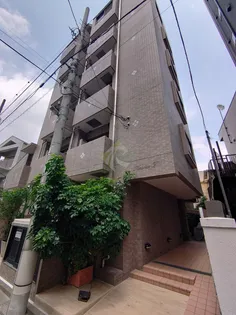 キングダム エフの画像