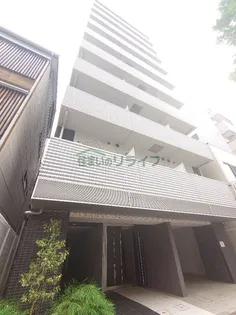 メインステージ亀戸Vミライエの画像