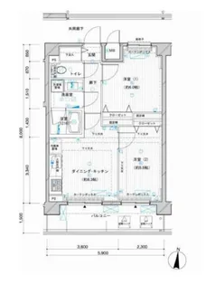 メインステージ押上Ⅳ【5階】の間取り