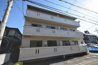 リラ船本の画像