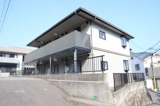 サンセフィラの画像