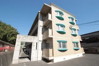 ステラカーサの画像