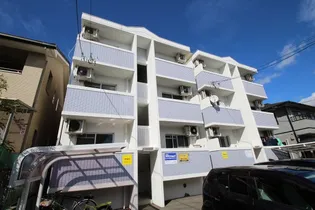 THE TWINS BILL LEFTの画像