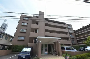 メゾンY古江の画像