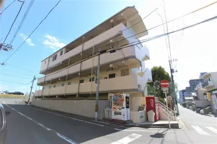 パステル11の画像