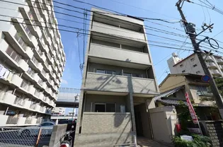 シェルティー南観音の画像