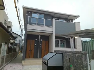 フェリチタの画像