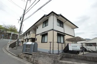 チャイブの画像