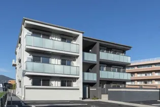 メゾン デ ルポ英の画像