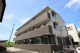 ステラの画像