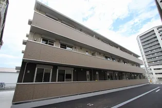 ジンミーの画像